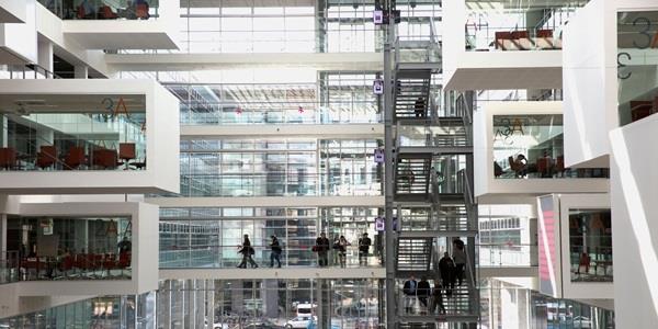 Why IT Programs Fail, and How to Avoid It