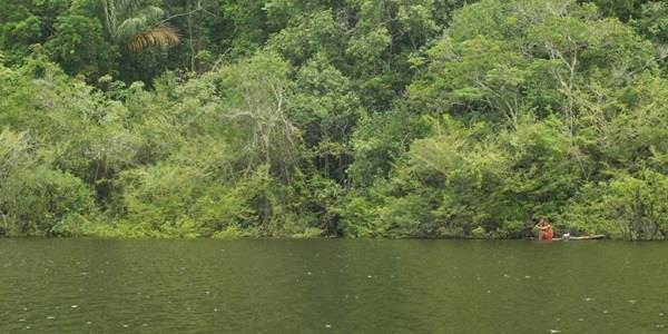 CCIT Seminar on the Brazilian Amazon as a technological incubator