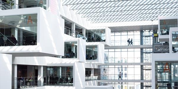 PhD Defence by Camilla Birch Okkels